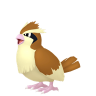 Pidgey