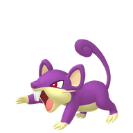 Rattata