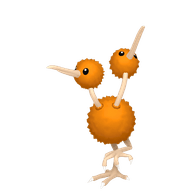 Doduo